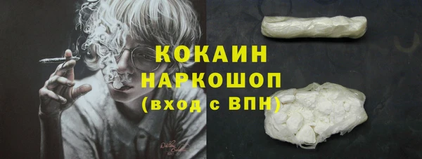 СК Няндома