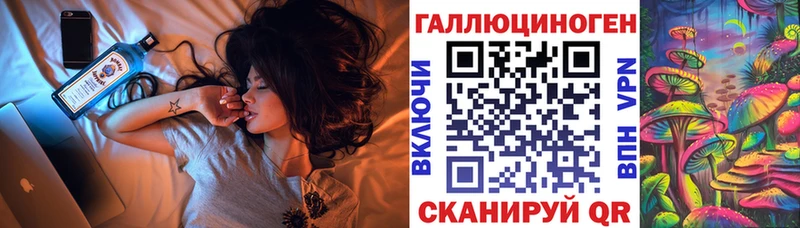 цена   Пудож  Псилоцибиновые грибы Magic Shrooms 